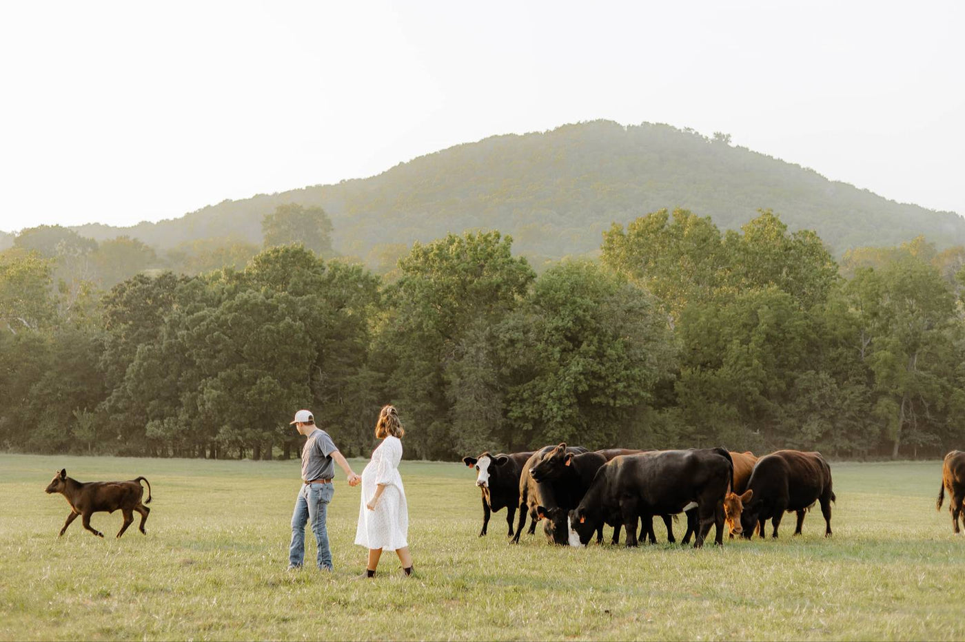 Farming in Harmony with Nature