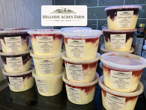 Raw Milk Yogurt