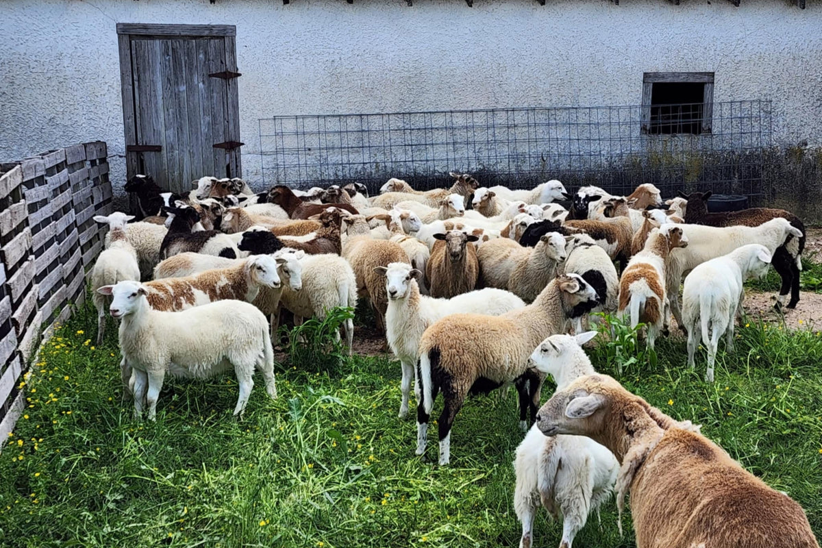 Winkle Family Farm
