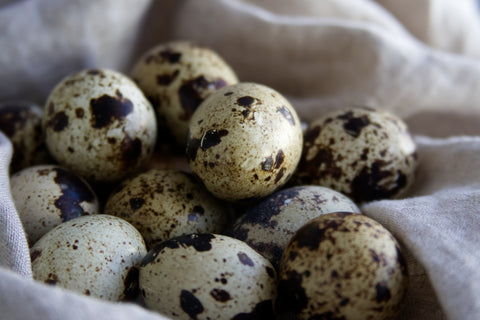 Quail Eggs