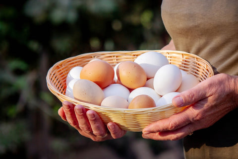 EGGS