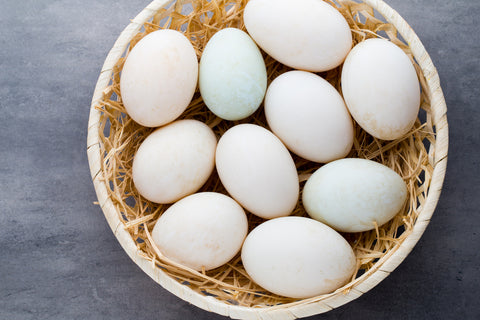 Duck Eggs